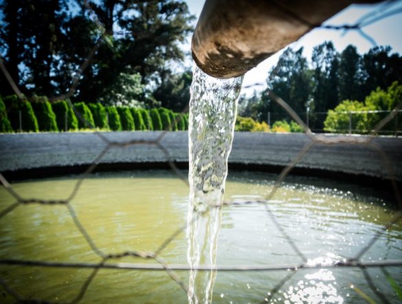 【国際】世界銀行、農業用水管理強化の必要性強調。現状では食料需要の半分が危機