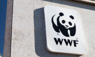 【日本】WWFジャパン、ネイチャーポジティブで政策強化提言。国際目標と国家戦略に乖離
