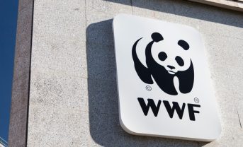 【日本】WWFジャパン、ネイチャーポジティブで政策強化提言。国際目標と国家戦略に乖離
