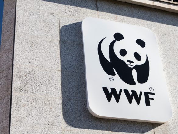 【日本】WWFジャパン、ネイチャーポジティブで政策強化提言。国際目標と国家戦略に乖離