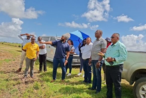 【カリブ海】IICA等、カリブ海3カ国で土壌健全化プロジェクト開始。気候スマート農業導入加速