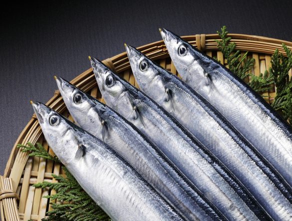 【国際】北太平洋漁業委員会、サンマ、サバ類、マイワシの資源管理強化で合意。漁獲量抑制