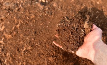 【日本】サントリー、緑茶粕を活用し泥炭加工物の代替資材開発。他の製造残渣への展開も視野