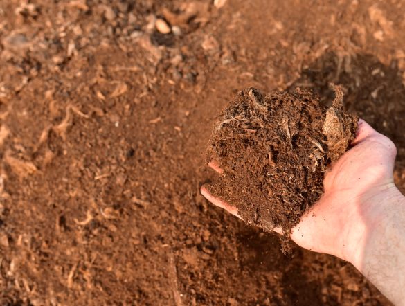 【日本】サントリー、緑茶粕を活用し泥炭加工物の代替資材開発。他の製造残渣への展開も視野