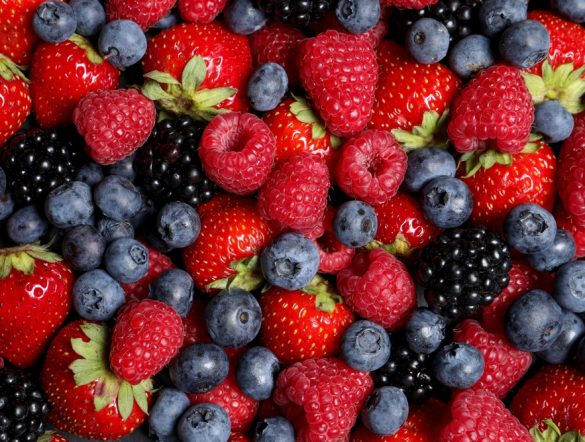 【イギリス】セインズベリー、ベリー類にも長期契約スキーム適用。サプライチェーン安定化