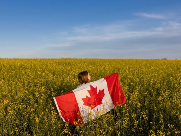 【カナダ】政府、農業土壌健全性に関する国家戦略策定に着手。土壌は重要な国家資産