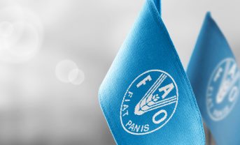 【国際】FAO、イラン情勢により世界食料システムが体系的なショックと警告。幅広い悪影響