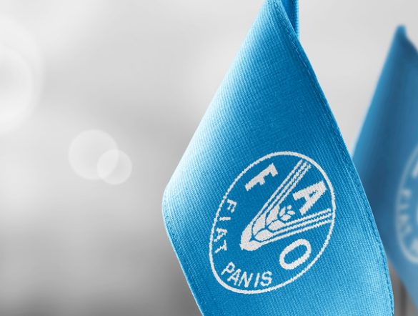 【国際】FAO、イラン情勢により世界食料システムが体系的なショックと警告。幅広い悪影響