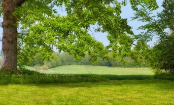 【国際】NPI、陸域自然状態測定指標でパイロットプロジェクト結果公表。参画29社から概ね支持