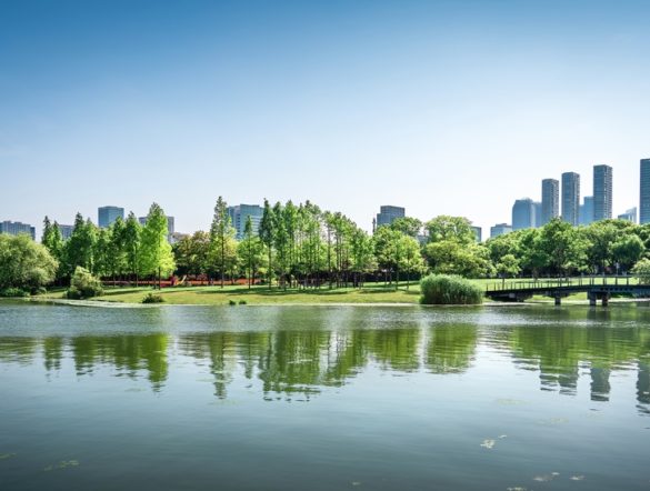 【日本】環境省、TNFD開示で機会・リスクのロングリスト作成。重要3セクター対象