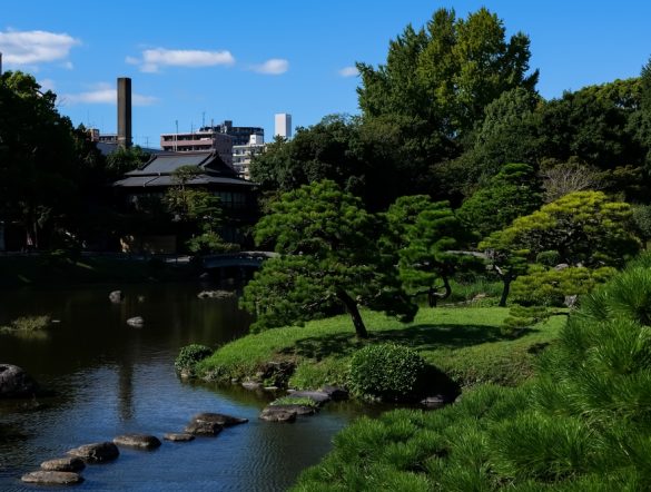 【日本】大成建設、ネイチャーポジティブ評価手法公開。生息場価値定量化、日本固有特性考慮