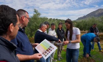 【スペイン】ペプシコ財団、オリーブ農家向けリジェネラティブ農業促進プログラム第2期開始