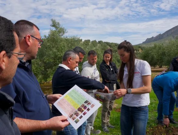【スペイン】ペプシコ財団、オリーブ農家向けリジェネラティブ農業促進プログラム第2期開始