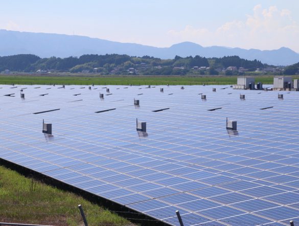 【日本】環境省、「太陽光発電における自然環境配慮の手引き」公表。自治体への事前相談強化