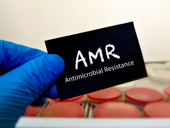 【EU】欧州委、ブラジル産の肉卵類・魚介類等の輸入を9月3日から禁止へ。抗菌剤使用問題