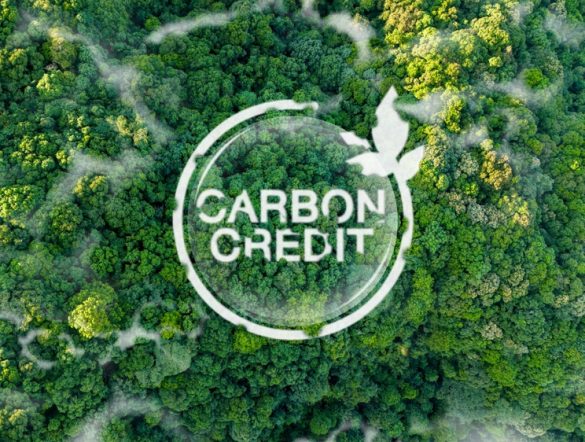 【国際】ICVCM、CCPラベルの新ルール体系提示。補完文書による三層構造。意見募集