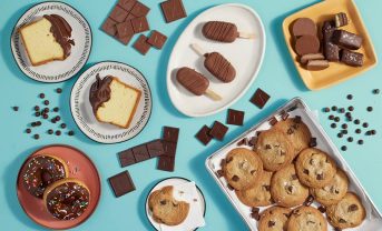 【北米】カーギル、カカオ不使用のチョコレート代替原料を北米展開。ボヤージュ・フーズ提携