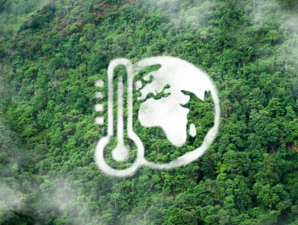 【国際】SBTi、絶対削減アプローチ改定。2026年以降の目標設定企業に即時適用