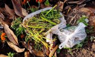 【アメリカ】米国プラスチック協定、容器の堆肥化拡大で政策提言。食品との一体処理