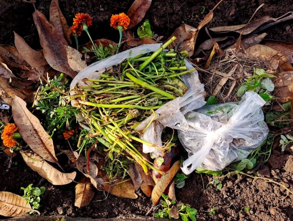 【アメリカ】米国プラスチック協定、容器の堆肥化拡大で政策提言。食品との一体処理