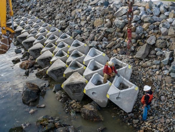 【アメリカ】ECOncrete、海洋インフラ向け生物多様性対応コンクリート技術で20億円調達
