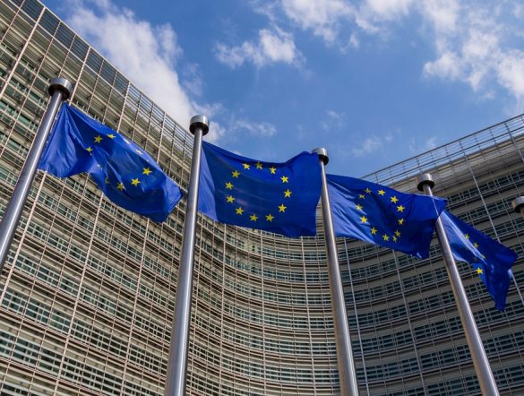 【EU】欧州委、EUDR簡素化で委託法令改正へ。適用対象商品明確化。システム改修も