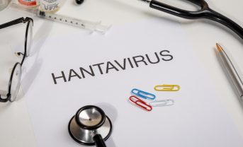 【国際】WHO、「ハンタウイルスのリスク依然として低い」。厚労省研究所も同様の見解