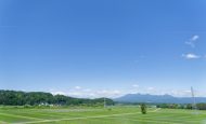 【日本】農水省、「みどり加速化GXプラン」決定。GX投資を食・農分野へ呼び込み