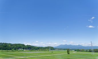 【日本】農水省、「みどり加速化GXプラン」決定。GX投資を食・農分野へ呼び込み