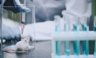 【EU】欧州委、化学物質安全性評価での動物実験廃止ロードマップ発表。国際ルール主導も