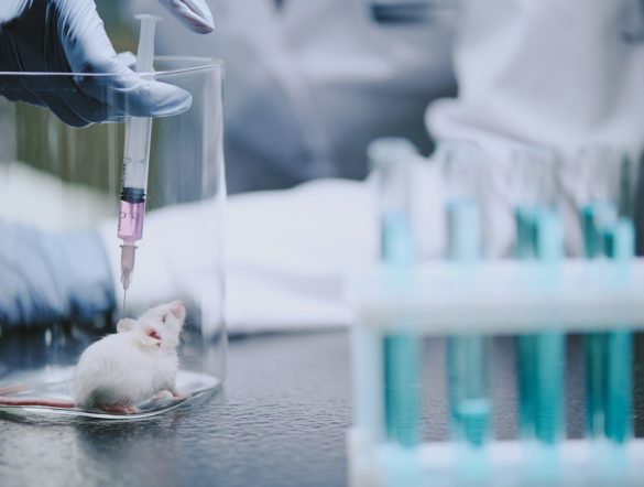 【EU】欧州委、化学物質安全性評価での動物実験廃止ロードマップ発表。国際ルール主導も