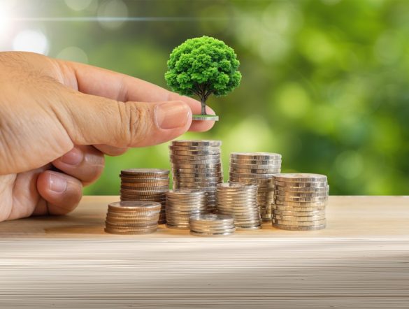 【トーゴ】エコバンク、ネイチャーボンド720億円発行。商業銀行で世界初