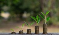 【国際】NatureFinance、高品質の自然市場促進に向け財団新設。ファイナンスとテック双方