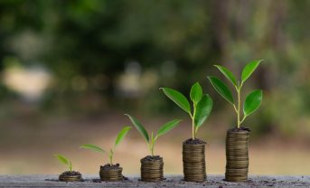 【国際】NatureFinance、高品質の自然市場促進に向け財団新設。ファイナンスとテック双方