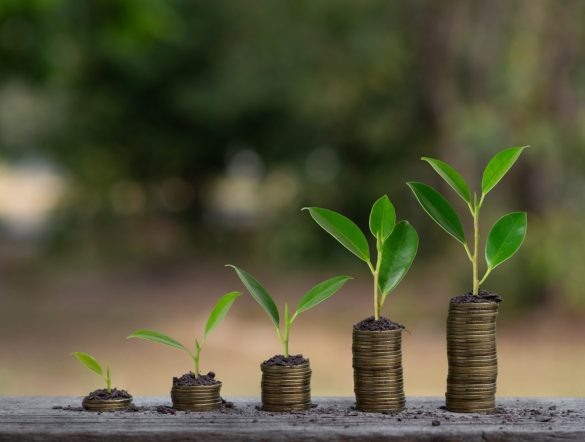 【国際】NatureFinance、高品質の自然市場促進に向け財団新設。ファイナンスとテック双方