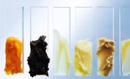 【日本】ネステ等4社、再生可能ナイロン繊維サプライチェーン構築。ゴールドウィン商品に採用