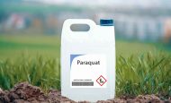 【イギリス】環境NGO、セインズベリーに除草剤パラコート使用禁止要求。農業従事者・生態系