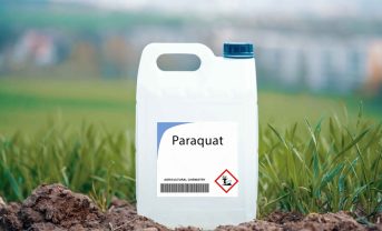 【イギリス】環境NGO、セインズベリーに除草剤パラコート使用禁止要求。農業従事者・生態系