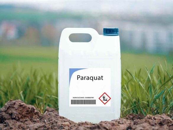 【イギリス】環境NGO、セインズベリーに除草剤パラコート使用禁止要求。農業従事者・生態系