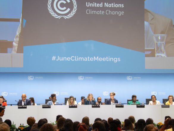 【国際】CMW、国連炭素市場の実装段階入りに警鐘。COP31前に制度不備指摘