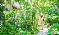 【日本】積水ハウス、「5本の樹」計画の25年間成果公表。樹林面積減も生物種数49%増