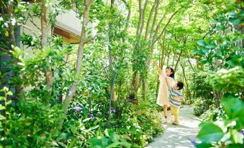 【日本】積水ハウス、「5本の樹」計画の25年間成果公表。樹林面積減も生物種数49%増