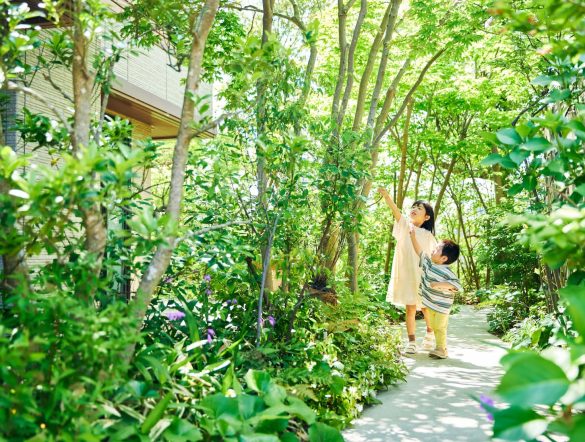 【日本】積水ハウス、「5本の樹」計画の25年間成果公表。樹林面積減も生物種数49%増