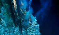 【国際】WWF、金融機関に深海底採鉱のダイベストメント要請。環境・経済・規制リスク指摘