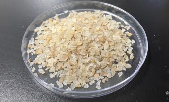 【日本】サントリーHD、EF Polymerと資本業務提携。ゆず栽培で自然由来吸水性ポリマー実証