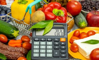 【国際】世界飢餓人口が6.45億人に減少も肥満率上昇。食料コスト課題。国連SOFI2026