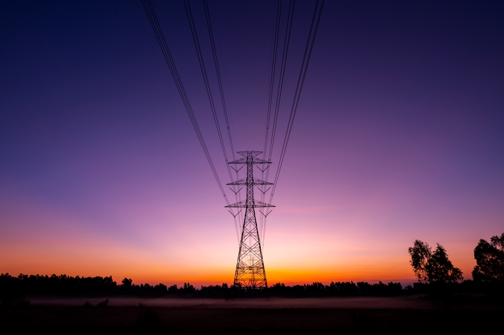 【国際】UNEZA、送電網サプライチェーン強化で共同声明。COP31に向けロードマップ策定へ 2 【国際】UNEZA、送電網サプライチェーン強化で共同声明。COP31に向けロードマップ策定へ 2