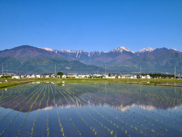 【日本】政府、「地域未来戦略」閣議決定。地方創生で産業政策を最優先。地方創生2.0は廃止