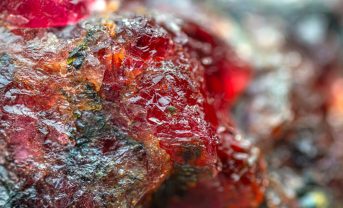 【カナダ】シュナイダーエレとTorngat Metals、レアアース開発インフラで提携。電化や再エネ開発