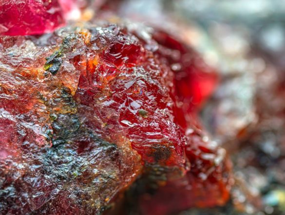 【カナダ】シュナイダーエレとTorngat Metals、レアアース開発インフラで提携。電化や再エネ開発